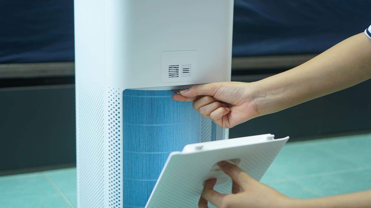 True HEPA vs. HEPA Filter What's The Difference? Sanalife